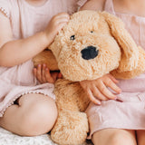 Charlie The Weighted Puppy Dog Toy